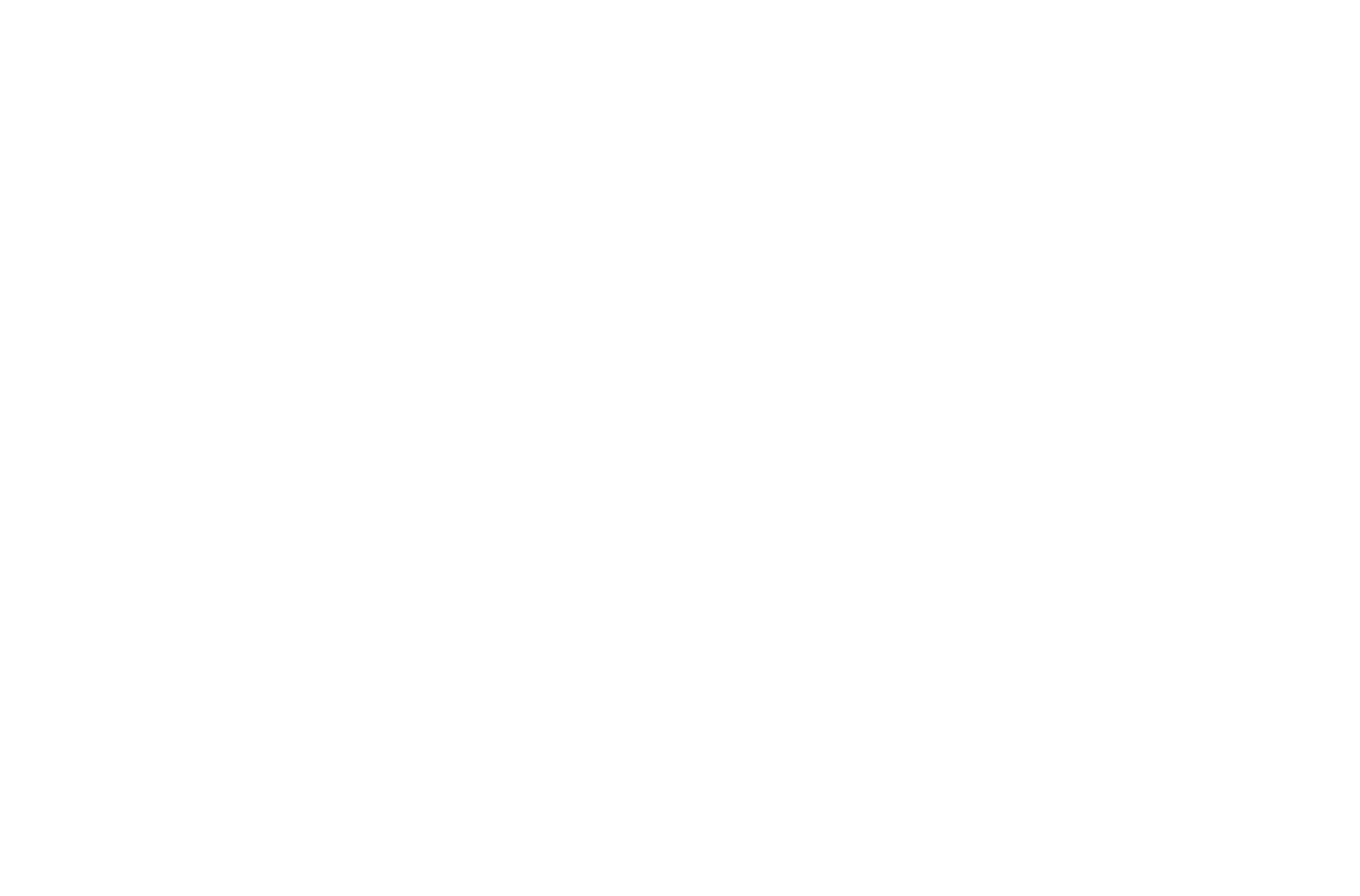 Gigz Official Logo White